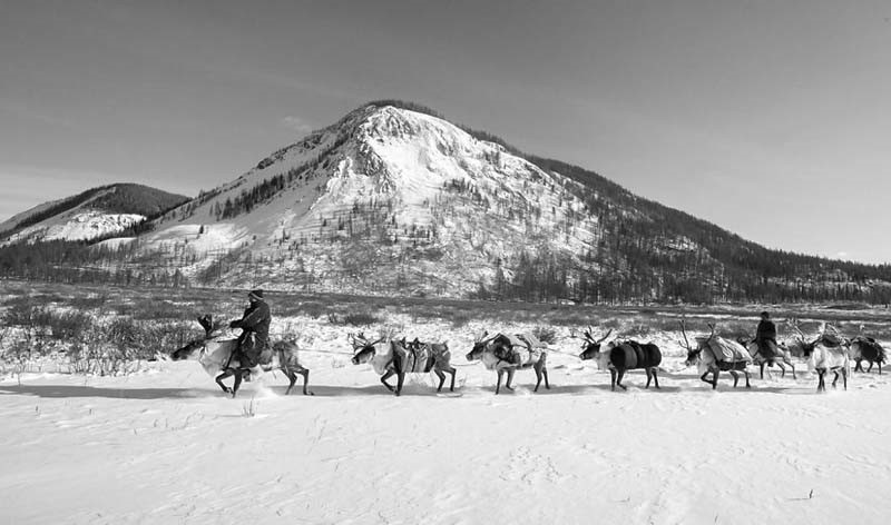 winter tour to taiga mongolia 